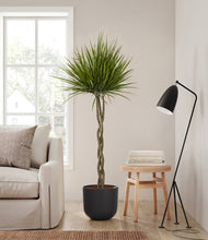 Load image into Gallery viewer, Stone Black