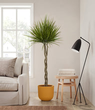 Load image into Gallery viewer, Sunset Orange