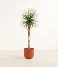 Load image into Gallery viewer, Earth Red*****Profile