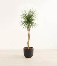 Load image into Gallery viewer, Stone Black*****Profile