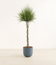 Load image into Gallery viewer, Iron Gray*****Profile