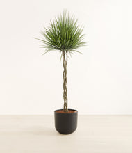 Load image into Gallery viewer, Stone Black*****Profile