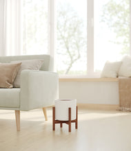 Load image into Gallery viewer, Walnut