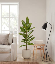 Load image into Gallery viewer, Natural Bamboo