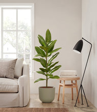 Load image into Gallery viewer, Sage Green