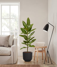 Load image into Gallery viewer, Stone Black