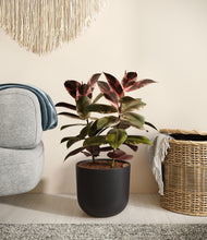 Load image into Gallery viewer, Stone Black