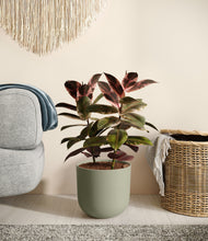 Load image into Gallery viewer, Sage Green