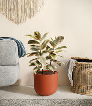 Load image into Gallery viewer, Earth Red