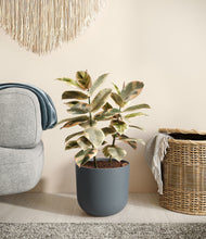 Load image into Gallery viewer, Iron Gray