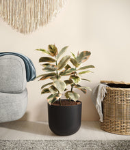 Load image into Gallery viewer, Stone Black