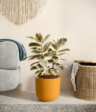 Load image into Gallery viewer, Sunset Orange