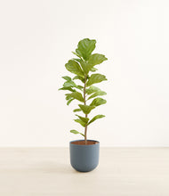 Load image into Gallery viewer, Iron Gray*****Profile