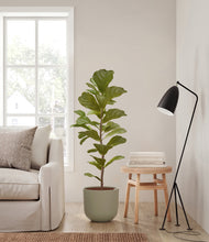 Load image into Gallery viewer, Sage Green