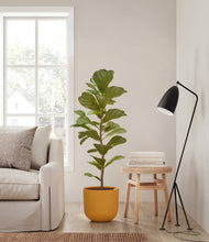 Load image into Gallery viewer, Sunset Orange