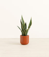 Load image into Gallery viewer, Glossy Red*****Profile