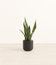 Load image into Gallery viewer, Stone Black*****Profile