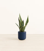 Load image into Gallery viewer, Twilight Blue*****Profile