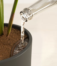 Load image into Gallery viewer, Dark Olive stand:all