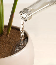 Load image into Gallery viewer, Desert Brown stand:all