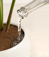 Load image into Gallery viewer, Shiny EggWhite stand:all