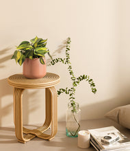 Load image into Gallery viewer, Calm Rose