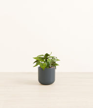 Load image into Gallery viewer, Iron Gray*****Profile