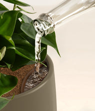 Load image into Gallery viewer, Woodland stand:all