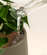 Load image into Gallery viewer, Earthy stand:all