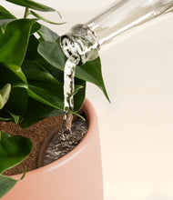 Load image into Gallery viewer, Evening Sky stand:all