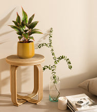 Load image into Gallery viewer, Mustard