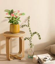 Load image into Gallery viewer, Mustard