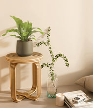 Load image into Gallery viewer, Olive