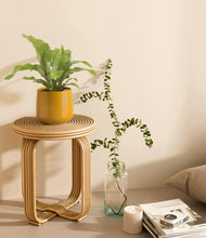 Load image into Gallery viewer, Mustard