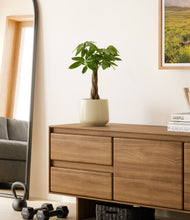 Load image into Gallery viewer, Almond Green