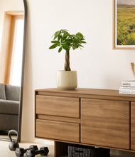 Load image into Gallery viewer, Almond Green