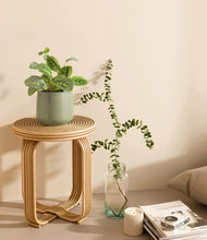 Load image into Gallery viewer, Turquoise