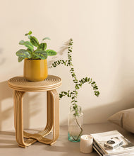 Load image into Gallery viewer, Mustard