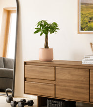 Load image into Gallery viewer, Gentle Pink