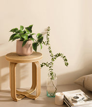 Load image into Gallery viewer, Gentle Pink