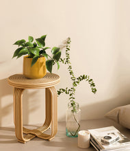 Load image into Gallery viewer, Mustard