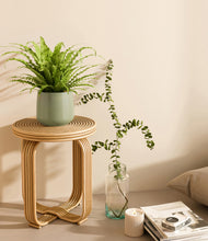 Load image into Gallery viewer, Turquoise