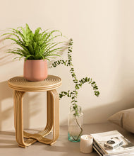 Load image into Gallery viewer, Calm Rose