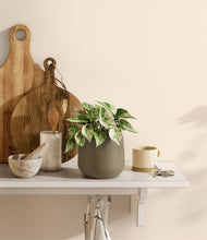 Load image into Gallery viewer, Olive