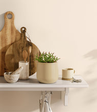 Load image into Gallery viewer, Almond Green