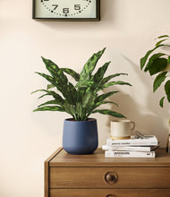 Load image into Gallery viewer, Deep Navy