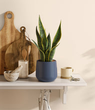 Load image into Gallery viewer, Deep Navy