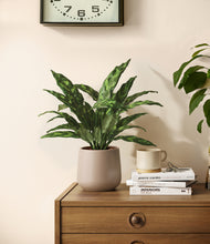 Load image into Gallery viewer, Eternal Gray