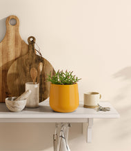 Load image into Gallery viewer, Mustard