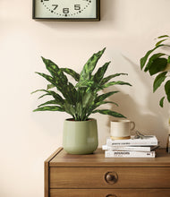 Load image into Gallery viewer, Turquoise